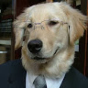 Meet your Posher, Me